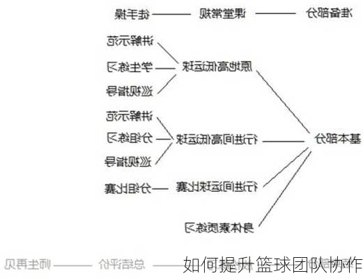 如何提升篮球团队协作