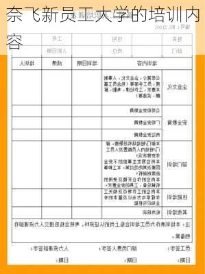 奈飞新员工大学的培训内容