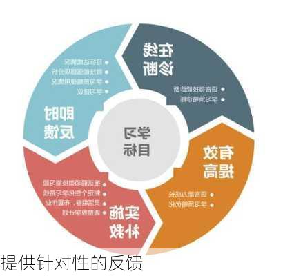 提供针对性的反馈