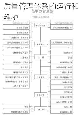 质量管理体系的运行和维护