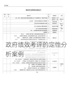 政府绩效考评的定性分析案例