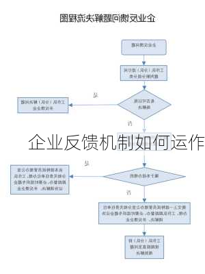 企业反馈机制如何运作