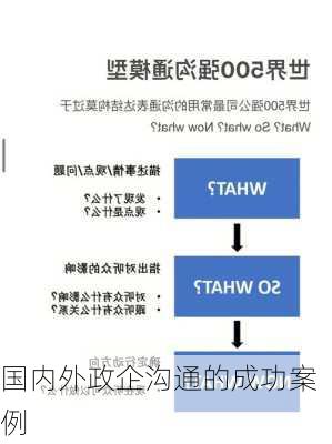 国内外政企沟通的成功案例