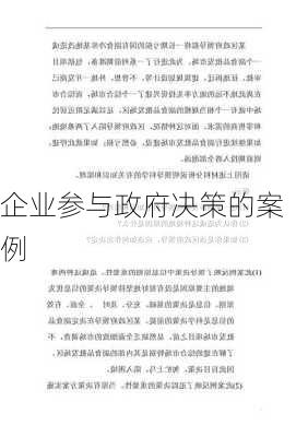 企业参与政府决策的案例