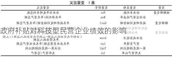 政府补贴对科技型民营企业绩效的影响