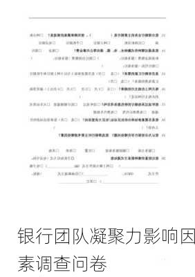 银行团队凝聚力影响因素调查问卷