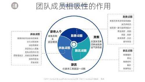 团队成员相吸性的作用