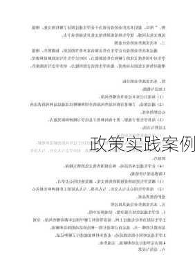 政策实践案例