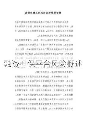 融资担保平台风险概述
