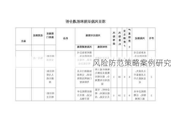 风险防范策略案例研究