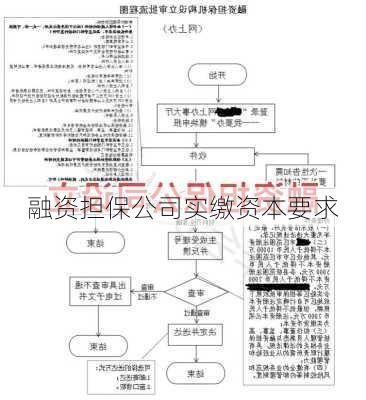 融资担保公司实缴资本要求