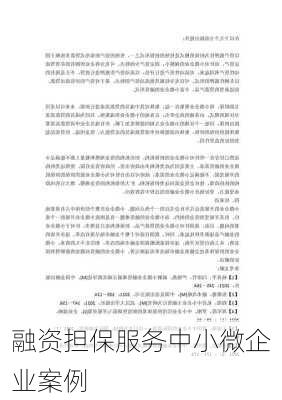 融资担保服务中小微企业案例