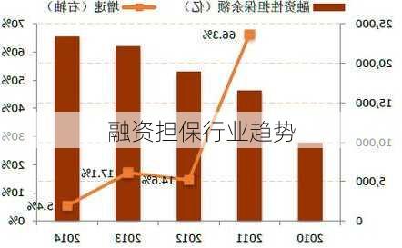融资担保行业趋势