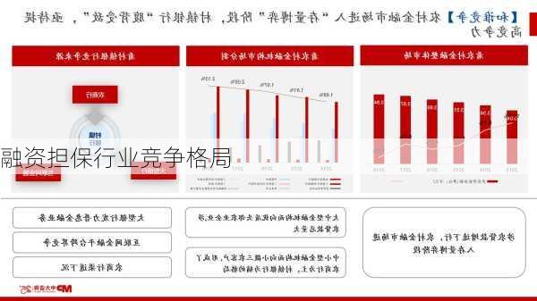 融资担保行业竞争格局