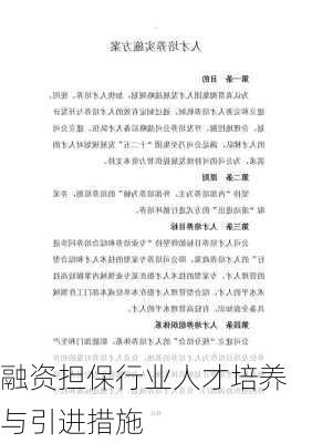 融资担保行业人才培养与引进措施