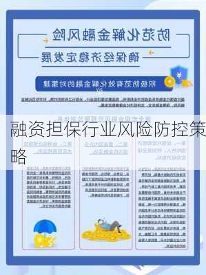 融资担保行业风险防控策略
