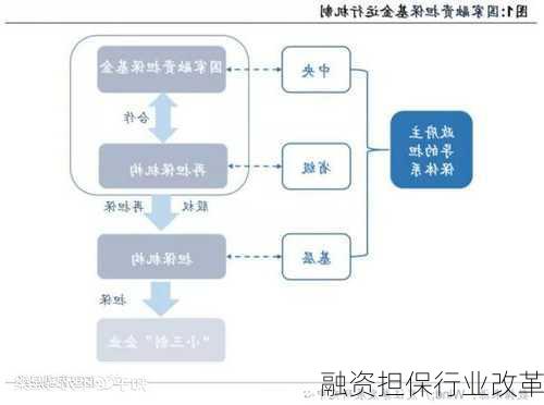 融资担保行业改革