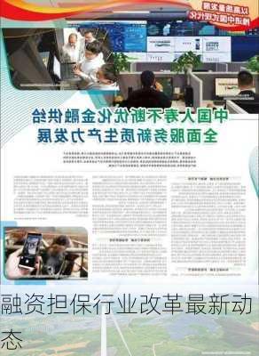 融资担保行业改革最新动态