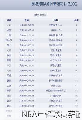 NBA年轻球员薪酬