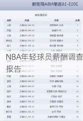 NBA年轻球员薪酬调查报告