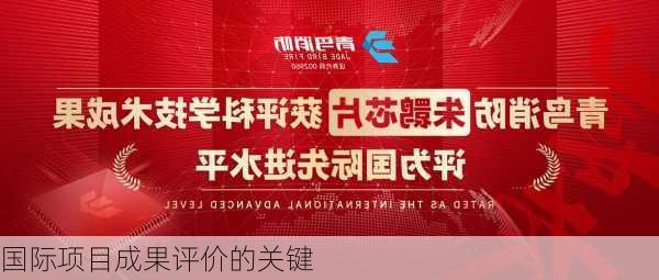 国际项目成果评价的关键