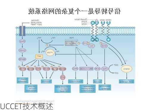 UCCET技术概述