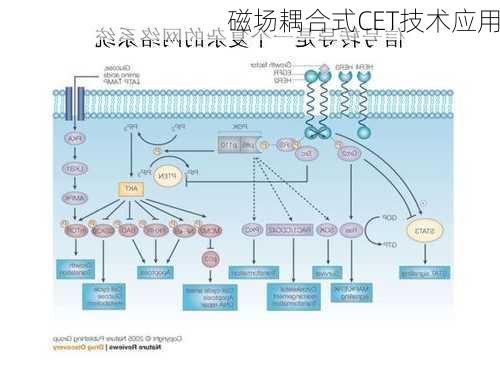 磁场耦合式CET技术应用