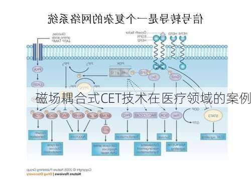 磁场耦合式CET技术在医疗领域的案例