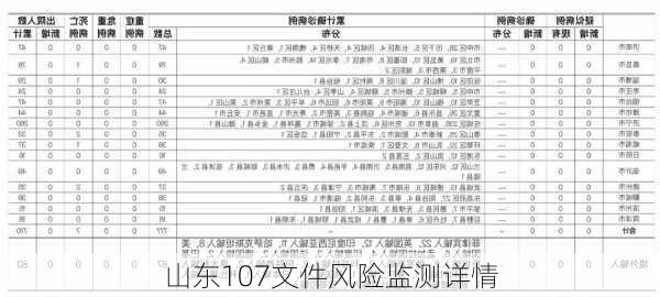 山东107文件风险监测详情