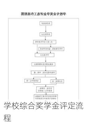 学校综合奖学金评定流程