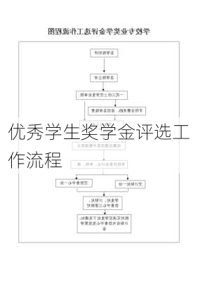 优秀学生奖学金评选工作流程