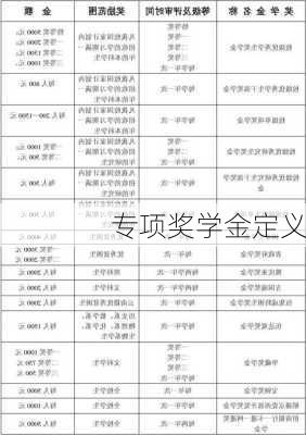 专项奖学金定义