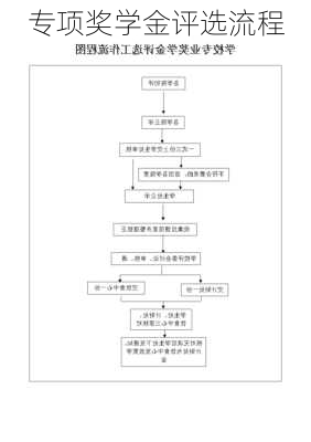 专项奖学金评选流程