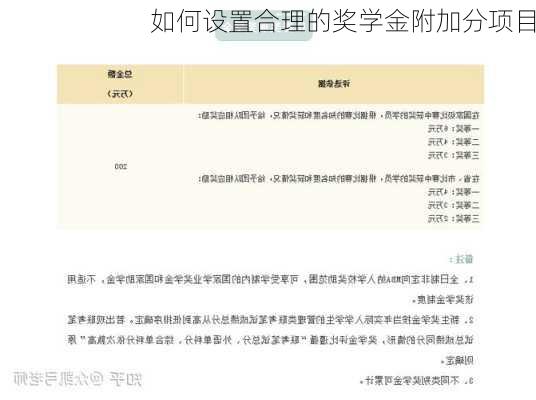 如何设置合理的奖学金附加分项目