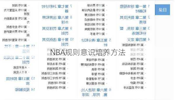 NBA规则意识培养方法