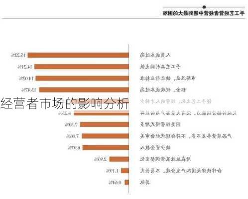 经营者市场的影响分析