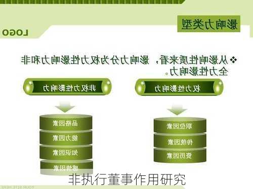 非执行董事作用研究