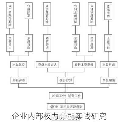 企业内部权力分配实践研究