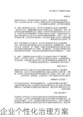 企业个性化治理方案