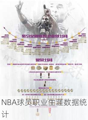 NBA球员职业生涯数据统计