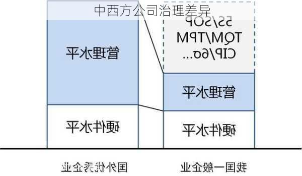 中西方公司治理差异