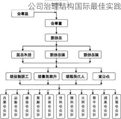 公司治理结构国际最佳实践