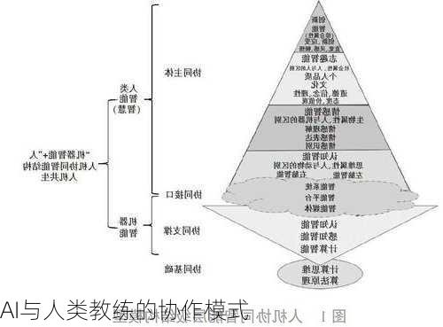 AI与人类教练的协作模式