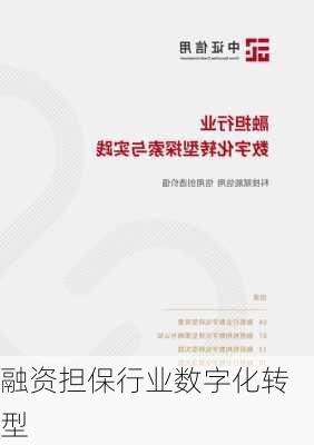融资担保行业数字化转型