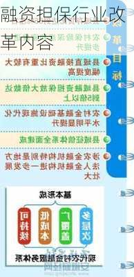 融资担保行业改革内容
