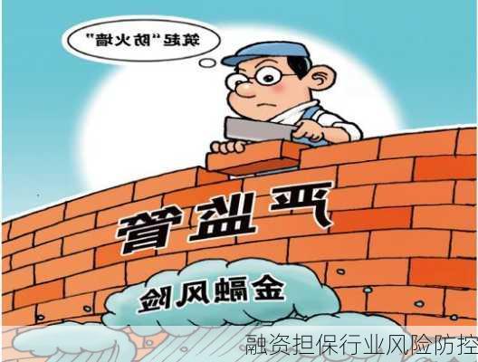 融资担保行业风险防控