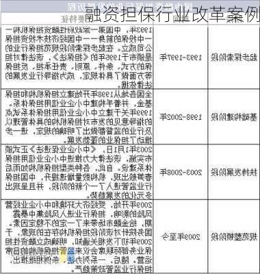 融资担保行业改革案例
