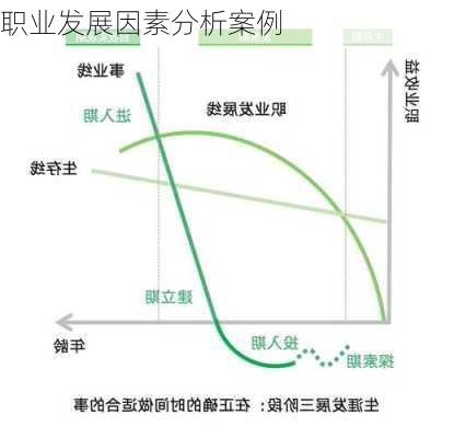 职业发展因素分析案例