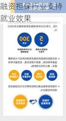 融资担保行业支持就业效果