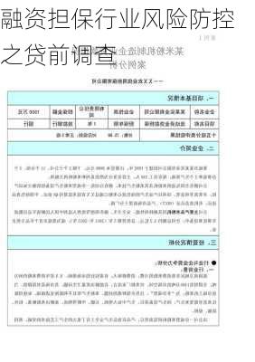融资担保行业风险防控之贷前调查